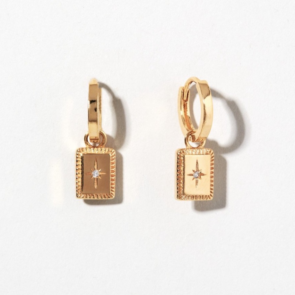 ISO Ana Luisa Cruz Earrings